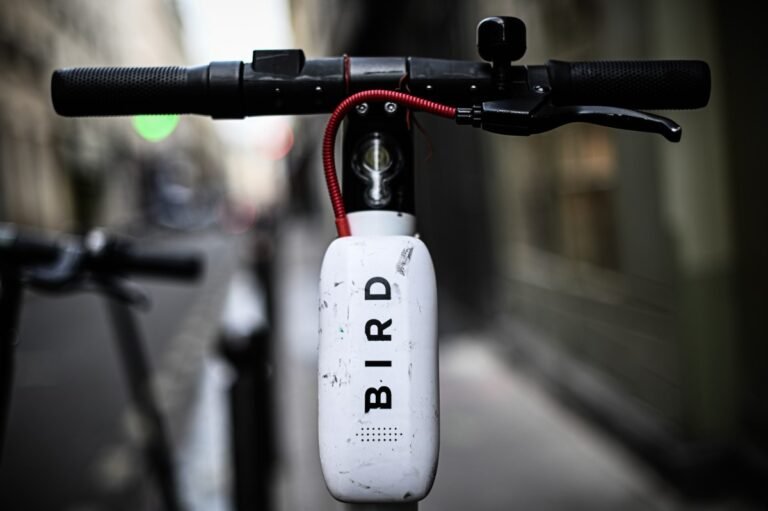 Electric Scooter Company Bird Has Filed For Bankruptcy