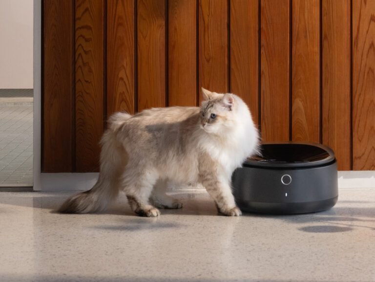 Petlibro's New Smart Refrigerated Liquid Food Feeder Is What Your