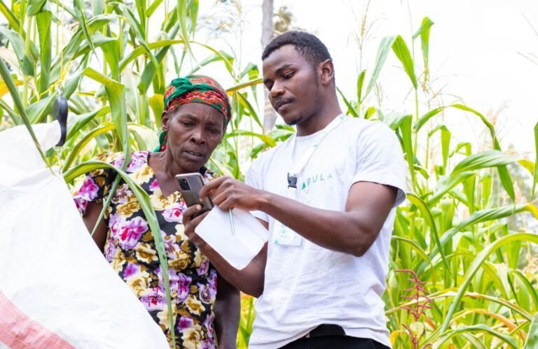 Pula Raises $20m Series B To Bring Agricultural Insurance To