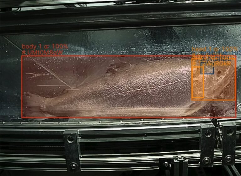 Shinkei's Humane Fish Harvesting Technology That Maintains Quality Could Revolutionize