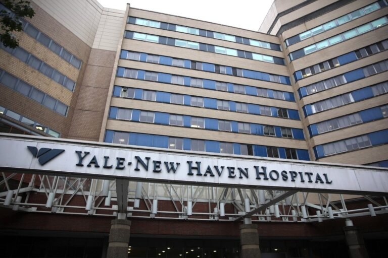 Data breach in Yale Health of Yale Health of Connecticut affects over 5 million Data Breach In Yale Health Of Yale Health Of Connecticut
