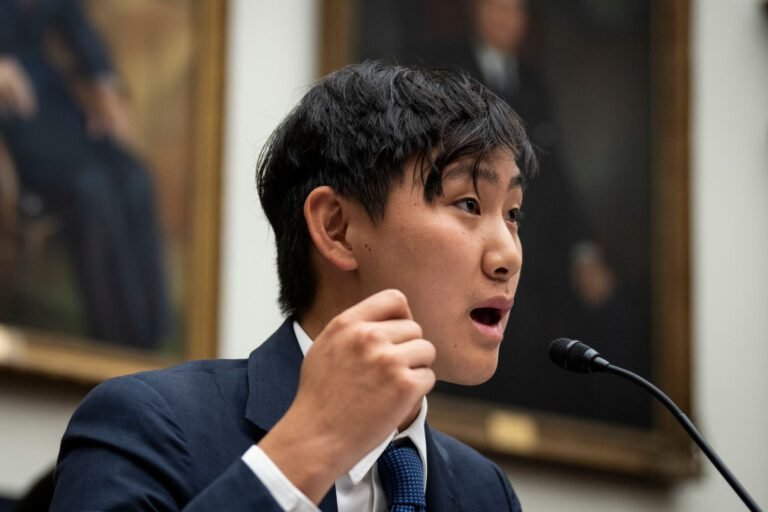 Can Ai And Alexandr Wang Reignite Meta's Ai?