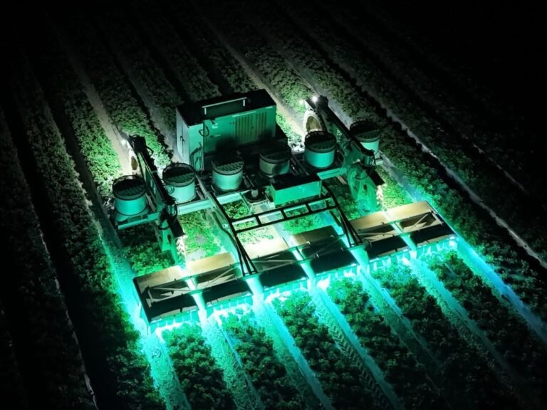 How Tric Robotics reduces the use of pesticides in strawberries using UV light How Tric Robotics Reduces The Use Of Pesticides In Strawberries
