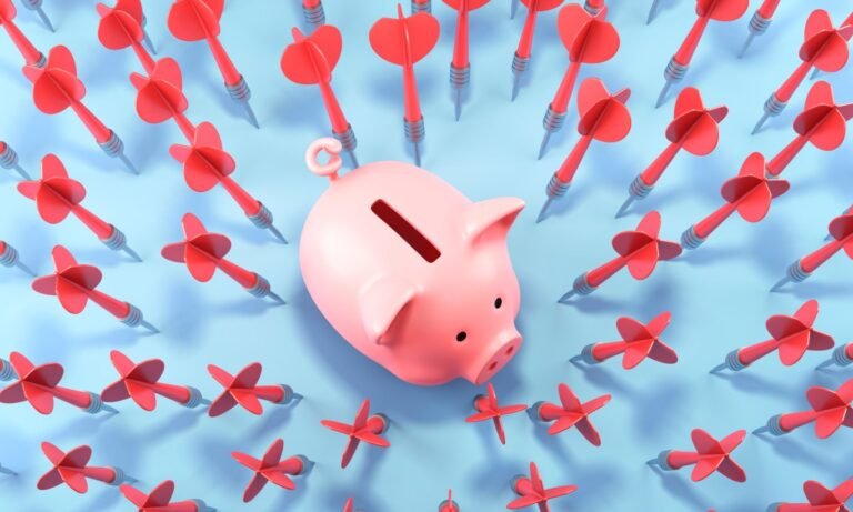 Stripe's First Employee, The Founder Of Fintech Refore, The Species