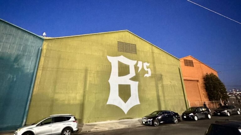 Oakland Ballers let an AI manage the team. What could go wrong? Oakland Ballers Let An Ai Manage The Team. What Could