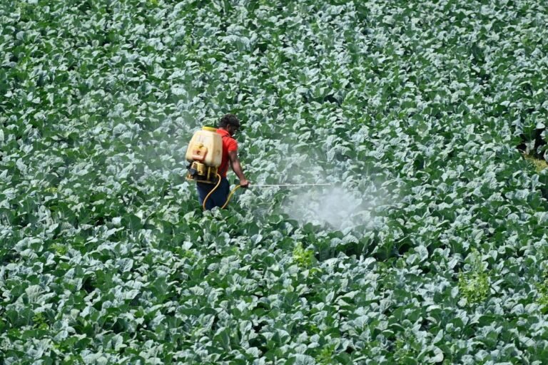 Teen Founders Raise $6 Million To Reinvent Pesticides Using Artificial