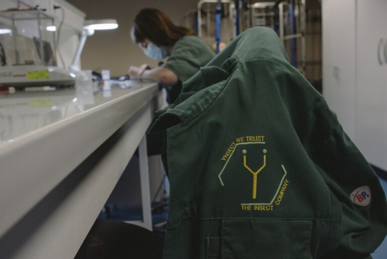 How Reality Crushed Ÿnsect, The French Startup That Had Raised