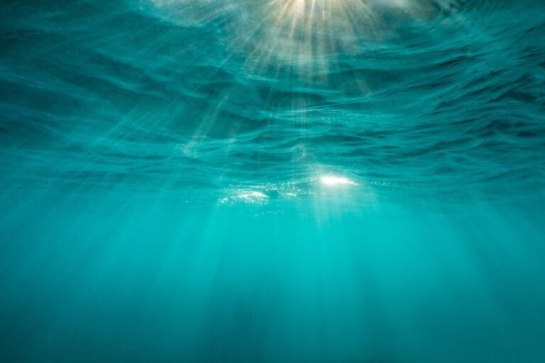 Apeiron Labs Takes $9.5m To Flood Oceans With Autonomous Underwater