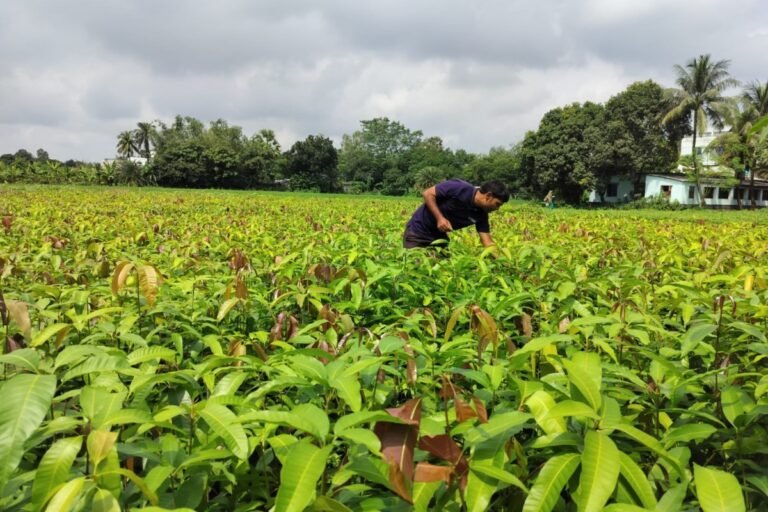 India's Varaha Wins $20m To Scale Up Carbon Removal From