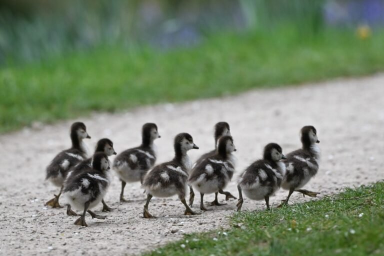 All We Like Is Soulfulness