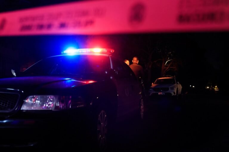 Hackers steal and leak sensitive LAPD police documents Hackers Steal And Leak Sensitive Lapd Police Documents