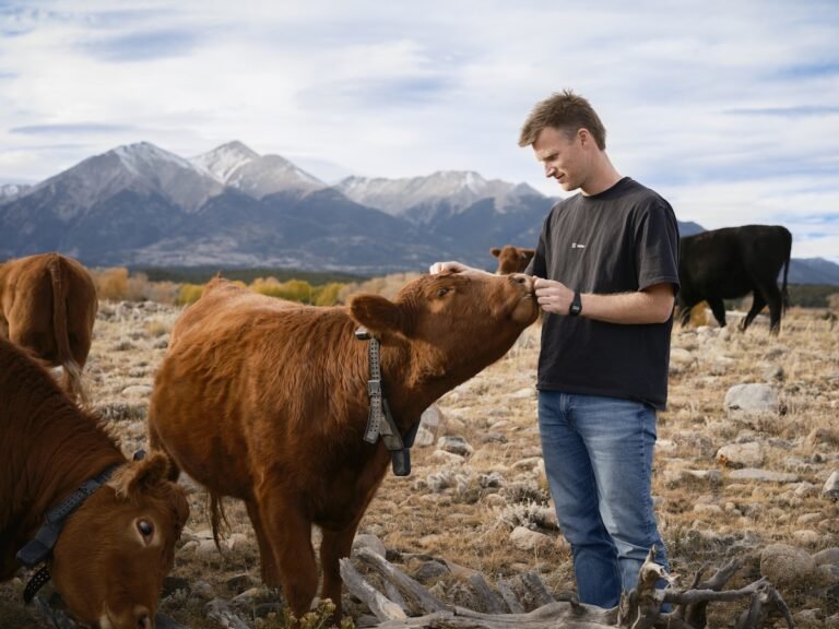 Peter Thiel's Big Bet On Solar Powered Cow Collars
