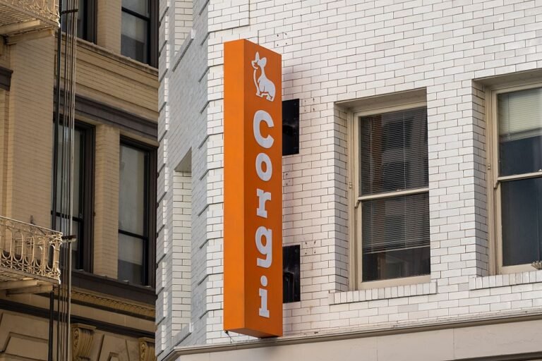 Corgi Announces $106m Raise At $2.6b Valuation — Double What