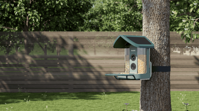 Kiwibit’s artificial intelligence bird feeder is my new backyard friend Kiwibit's Artificial Intelligence Bird Feeder Is My New Backyard Friend