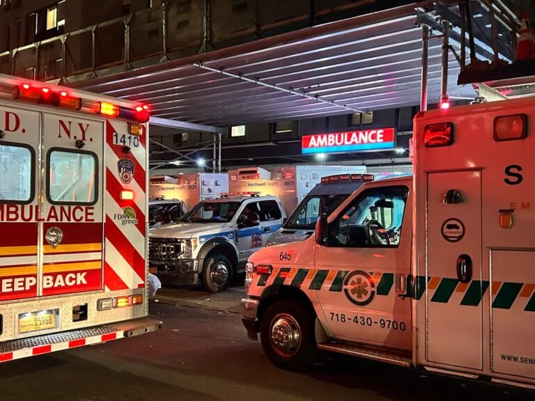 Nyc Health + Hospitals Says Hackers Stole Medical Data And