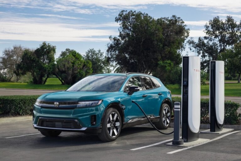All electric vehicles stopped or killed in the US this year All Electric Vehicles Stopped Or Killed In The Us This